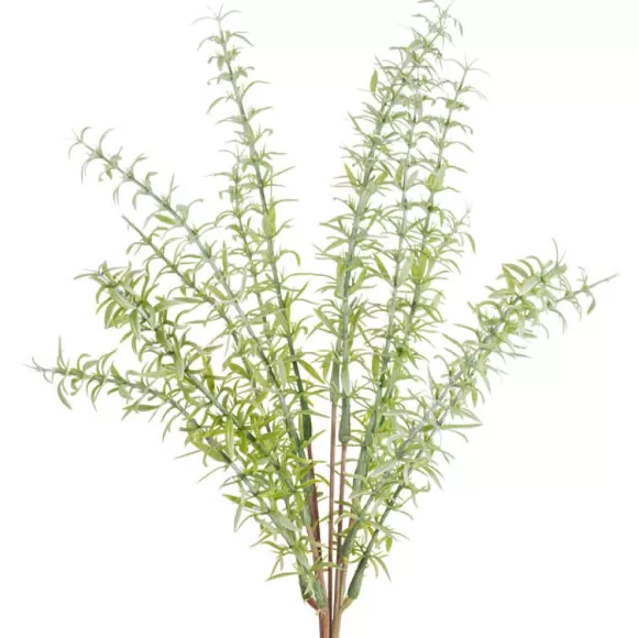 CRI Floral Decor>Asparagus Fern Bundle