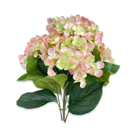 CRI Floral>Blush And Green Hydrangea Bush