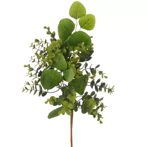 RAZ Greenery>Boxwood And Eucalyptus Pick