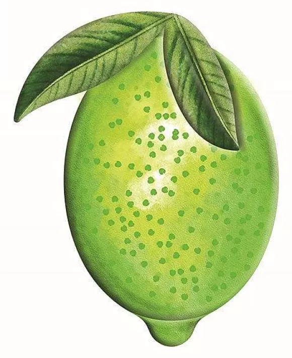 Craig Bachman Table Decor>Embossed Watercolor Lime