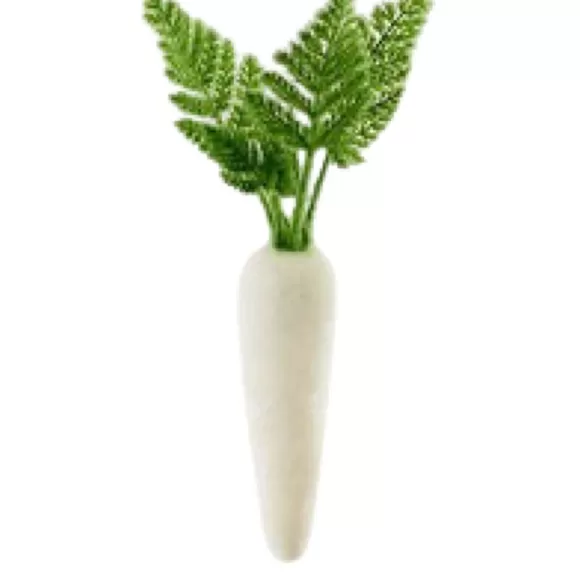 180 Degrees Home Accents>Flocked Colored Carrot