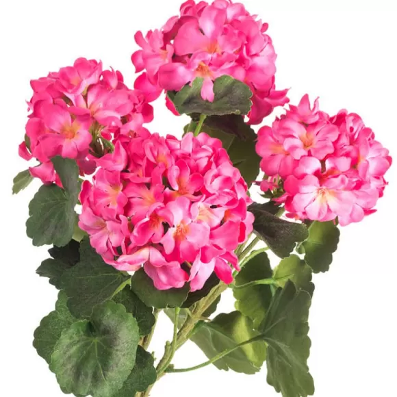 CRI Sprays>Geranium Bundle, Dark Pink