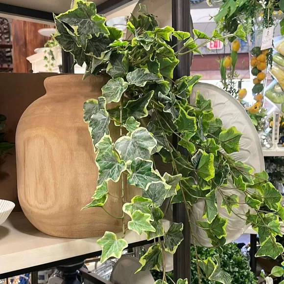 CRI Greenery>Hanging Ivy Varigated, 28"