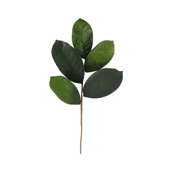 Craig Bachman Floral Decor>Magnolia Leaf Pick