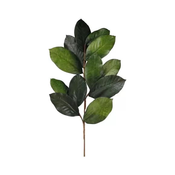 Craig Bachman Floral Decor>Magnolia Leaf Spray