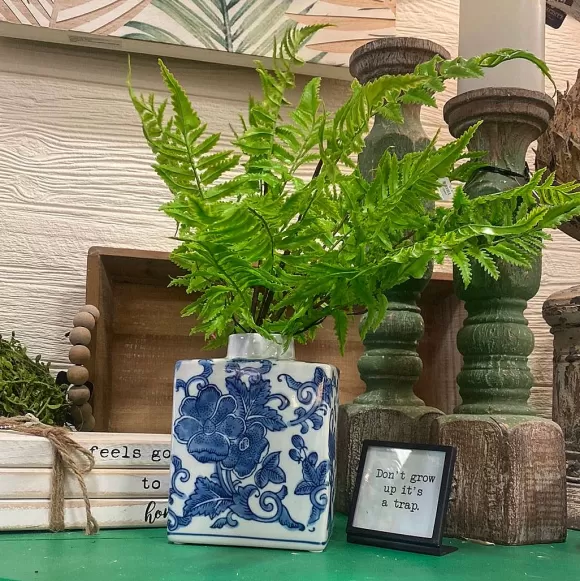 CRI Spring Picks>Medium Boston Fern