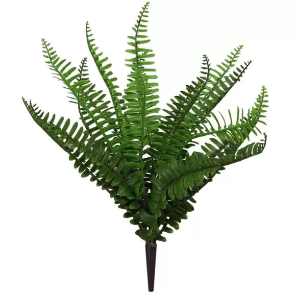 Craig Bachman Spring Sprays>Mixed Fern Bush