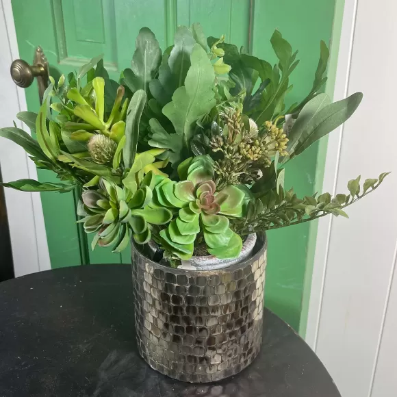 CRI Floral>Mixed Succulent Bouquet