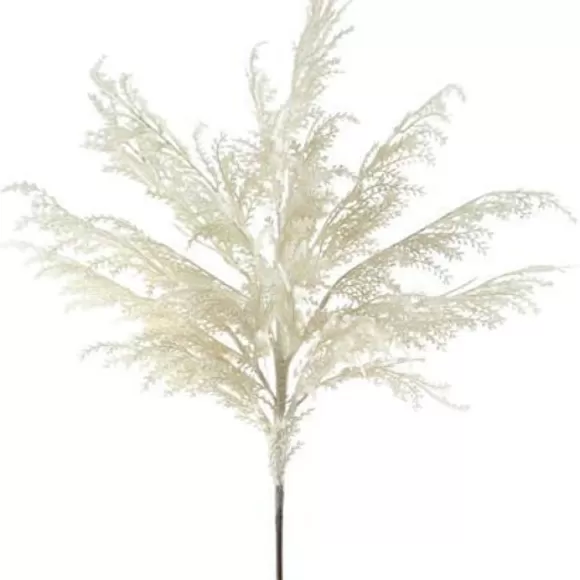 Craig Bachman Floral>Pampas Grass Plume Spray