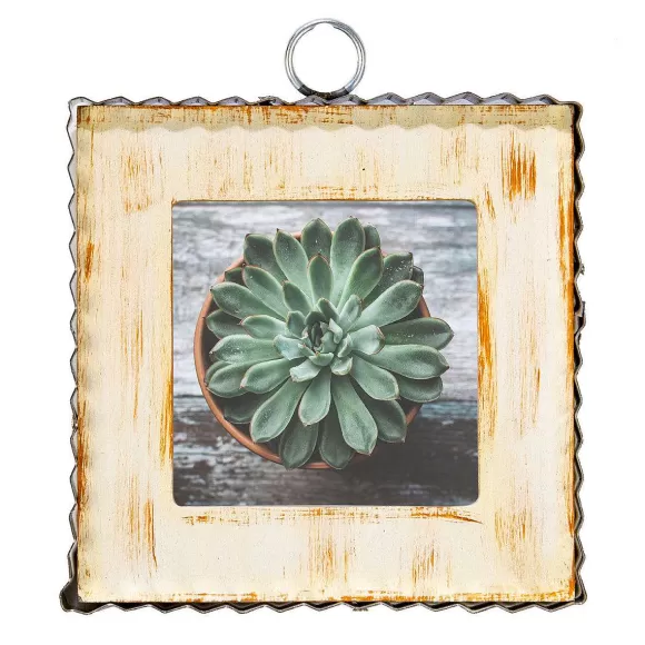 The Round Top Collection Table Decor>Pie Crust Photo Frame, Cream Mini Gallery Art