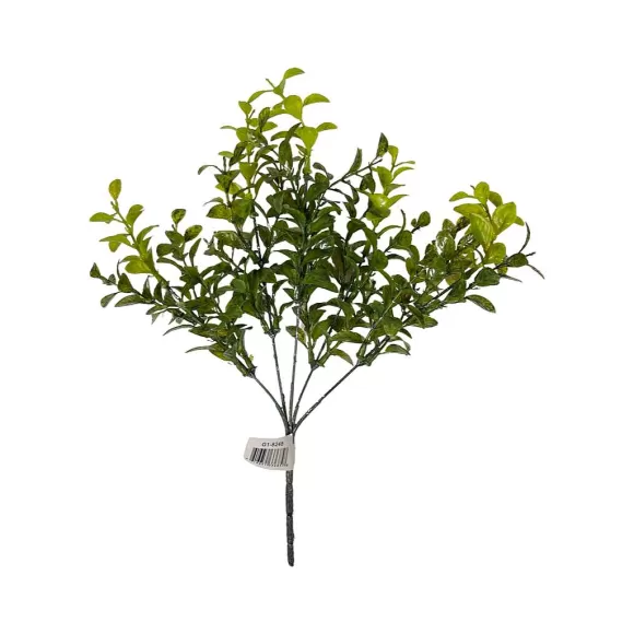 CRI Floral>Privet Bush