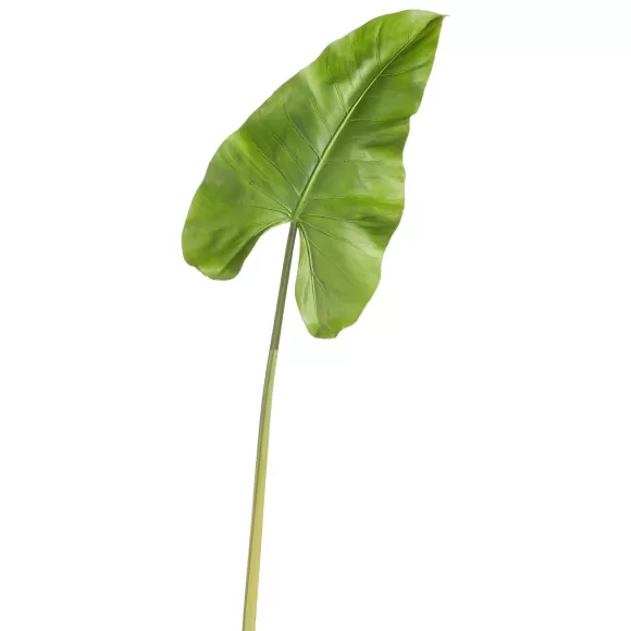 RAZ Stems>Real Touch Caladium Leaf Stem, 36"