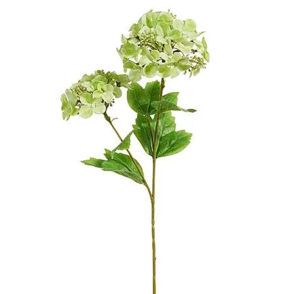 RAZ Spring>Real Touch Green Hydrangea Spray, 19"