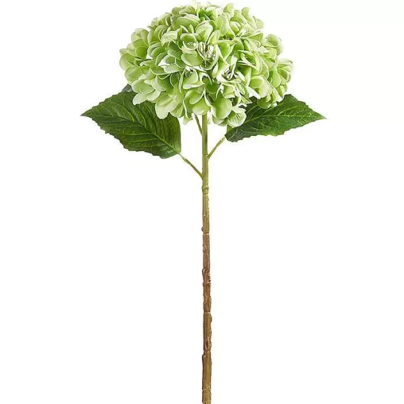 RAZ Stems>Real Touch Green Hydrangea Stem, 20.5"