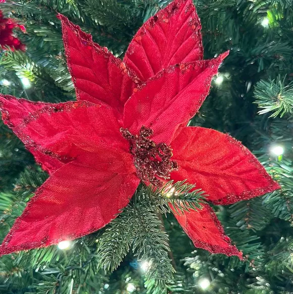 Craig Bachman Sprays>Red Textured Poinsettia