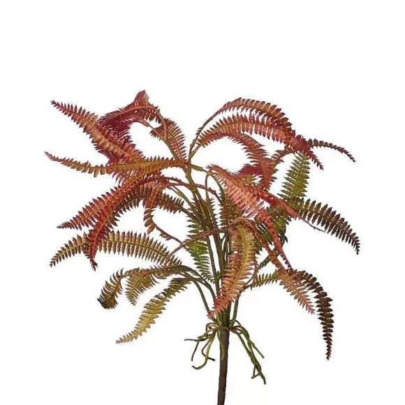 Regency Sprays>Rose Green Feather Fern Plant