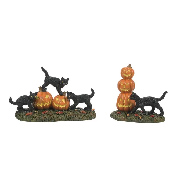 Department 56 Table Decor>Scary Cats And Pumpkins Set, Dept. 56 Village