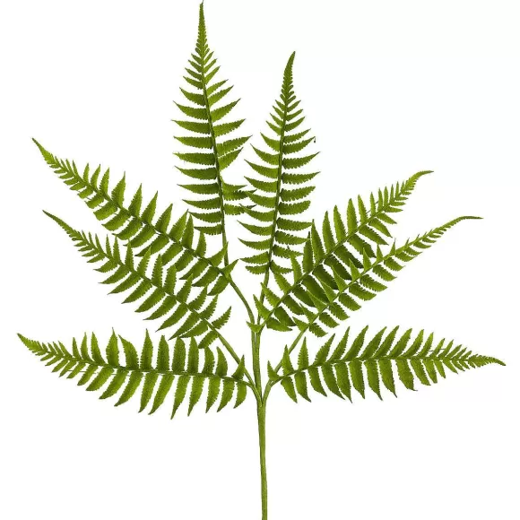 Liberty Floral Spring>Short Fern Spray