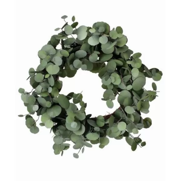 Regency Wreaths>Silver Dollar Eucalyptus Wreath, 24"