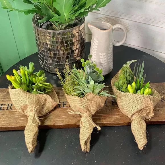 CRI Greenery>Succulent Bouquet Three Piece Set