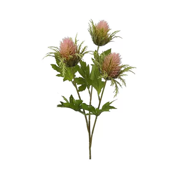 Liberty Floral Sprays>Teasel Spray X3