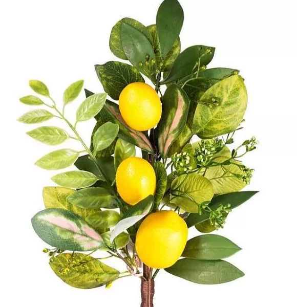 CRI Spring Sprays>Three Lemon Sprig