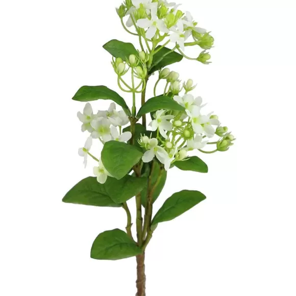 Craig Bachman Spring Picks>Wild Mini Hydrangea Pick